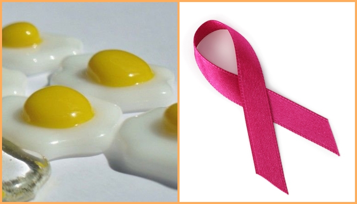 www.spiritselfhealth.com-benefits of eating eggs